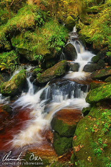 Kaskaden-Wasserfall in der Ysperklamm in Yspertal, Österreich.
