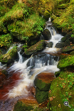 Kaskaden-Wasserfall in der Ysperklamm in Yspertal, &Ouml;sterreich.
