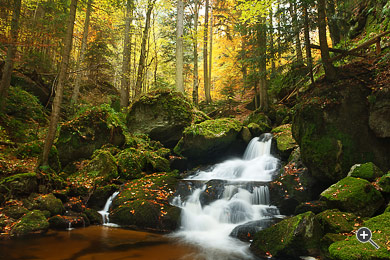 Kaskaden-Wasserfall in der Ysperklamm in Yspertal, &Ouml;sterreich.