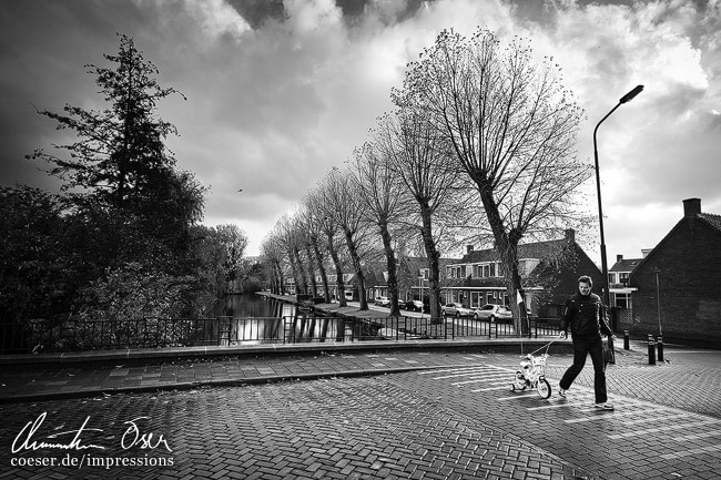 Viele Bäume und Wasser begleiten die Leute in Alkmaar, Niederlande.