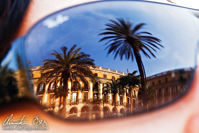 Spiegelung von Palmen am Placa Reial nahe der La Rambla Straße in Barcelona, Spanien.