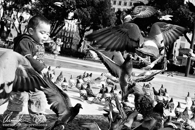 Ein Kind spielt mit vielen Tauben am Placa de Catalunya in Barcelona, Spanien.
