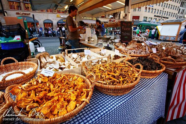 Zahlreiche Stände bieten Pilze und andere Delikatessen am Basler Marktplatz an in Basel, Schweiz.