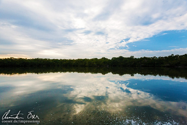 Die Landschaft und der Himmel reflektieren im Meer in Everglades, USA.