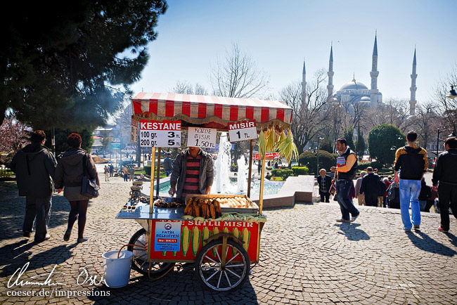 Maroni und Maiskolben können in der ganzen Stadt gekauft werden in Istanbul, Türkei.