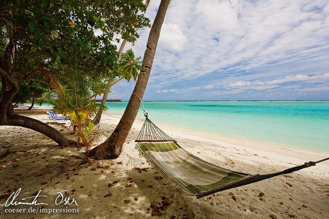 Hängematten zwischen Palmen am Strand versprechen pure Entspannung auf der Meerufenfushi-Insel, Malediven.