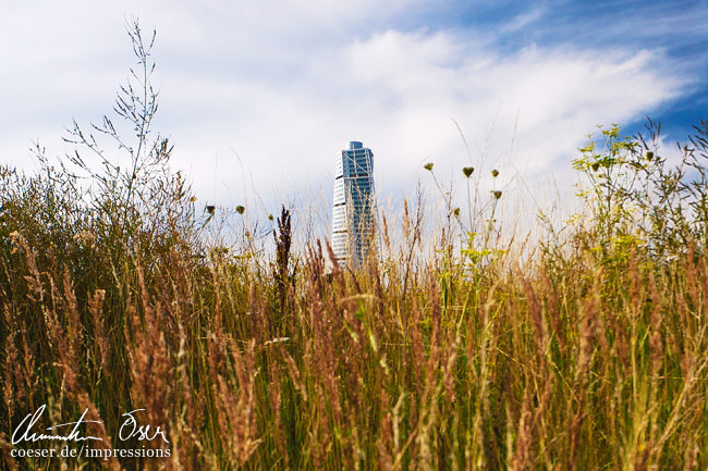 Die Spitze des Turning Torso Wolkenkratzers von Architekt Calatrava durch eine Wiese gesehen in Malmö, Schweden.