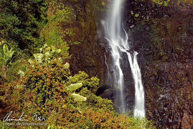 Detail des Chamarel-Wasserfalls in Mauritius.