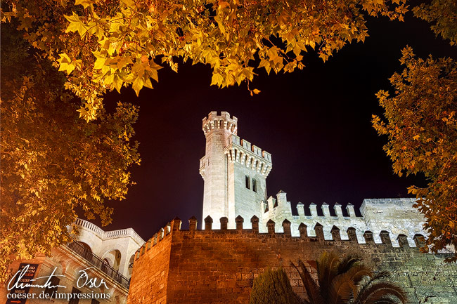 Der königliche Almudaina-Palast, eingerahmt von Blättern in Palma de Mallorca, Spanien.