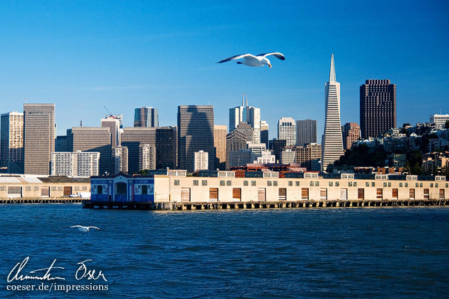Die Skyline von San Francisco mit der Transamerica Pyramid, gesehen von Alcatraz Island in San Francisco, USA.