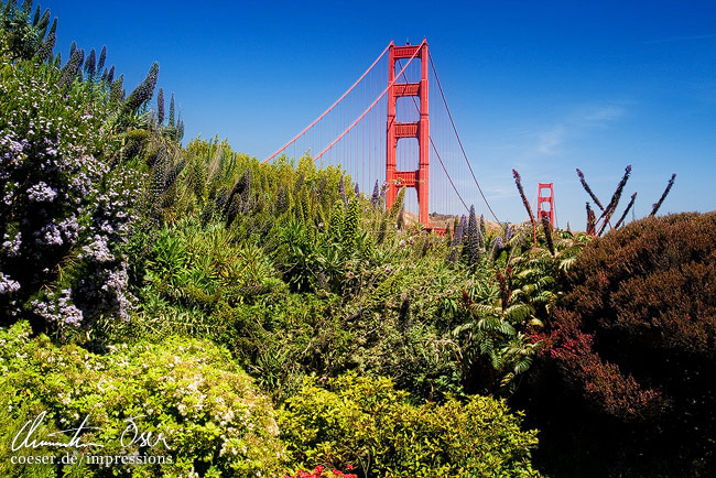 Die Hauptpfeiler der Golden Gate Bridge in San Francisco, USA.