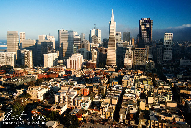 Die Skyline von San Francisco von der Aussichtsplattform des Coit Towers aus gesehen in San Francisco, USA.