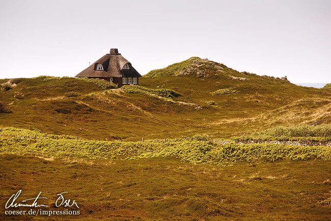 Ein typisches Haus in der Landschaft versteckt zwischen Hügeln auf der Insel Sylt, Deutschland.